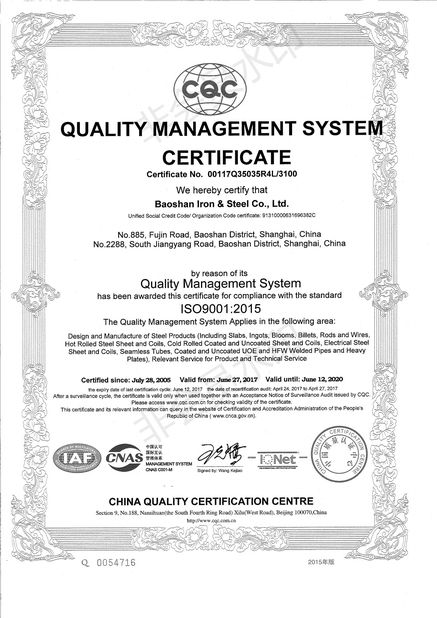 चीन Shandong Langnai Matel Product Co.,Ltd प्रमाणपत्र